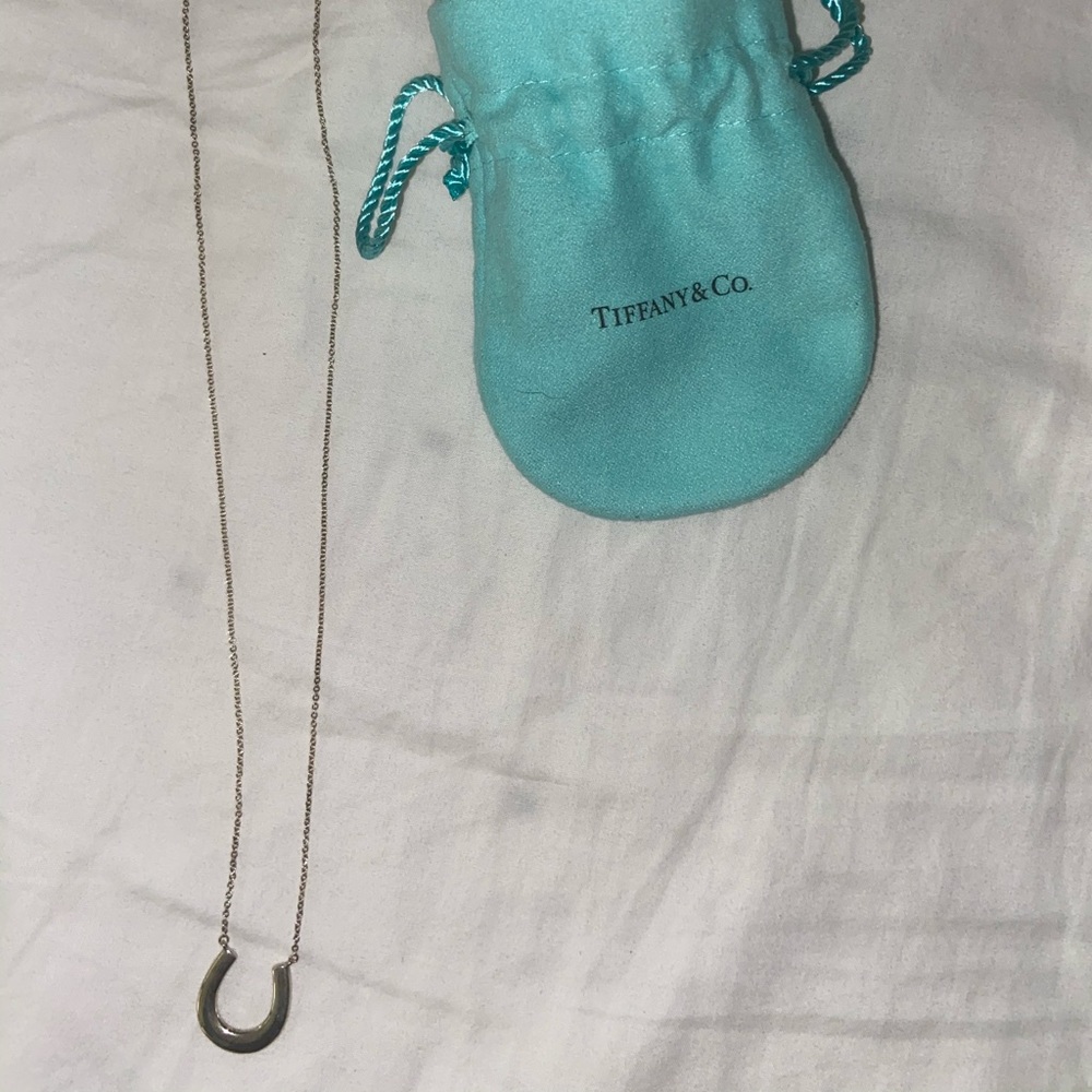 Tiffany and co necklace